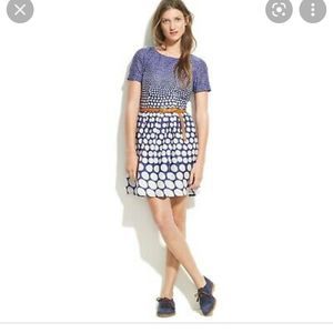 Broadway & Broome (from Madewell) Polkadot Dress